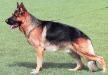 Ursus von Batu - kleines Bild